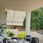 Juniperus 3*