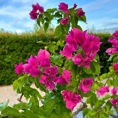 فندق مبيت وإفطار Juniperus