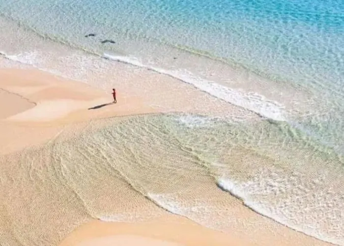 Juniperus SantʼAnna Arresi