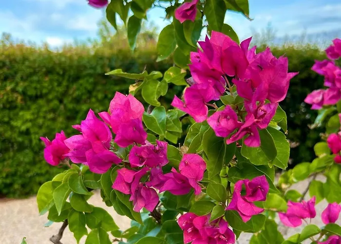 فندق مبيت وإفطار Juniperus