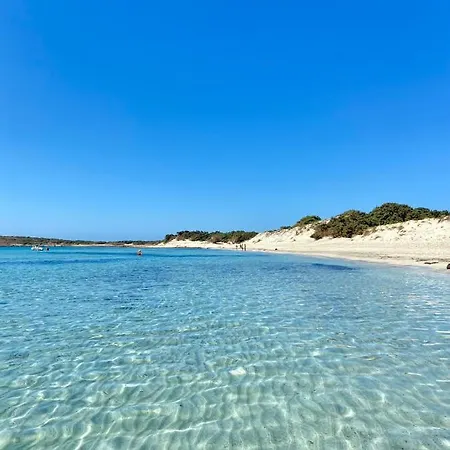 ベッド・アンド・ブレックファスト Juniperus